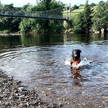 Дом отдыха Galboly *